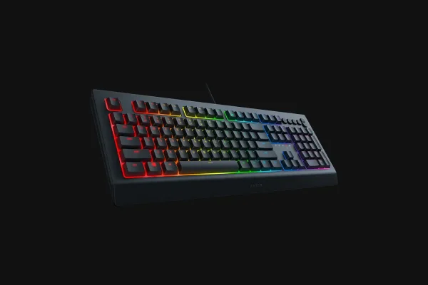 کیبورد Razer Cynosa V2