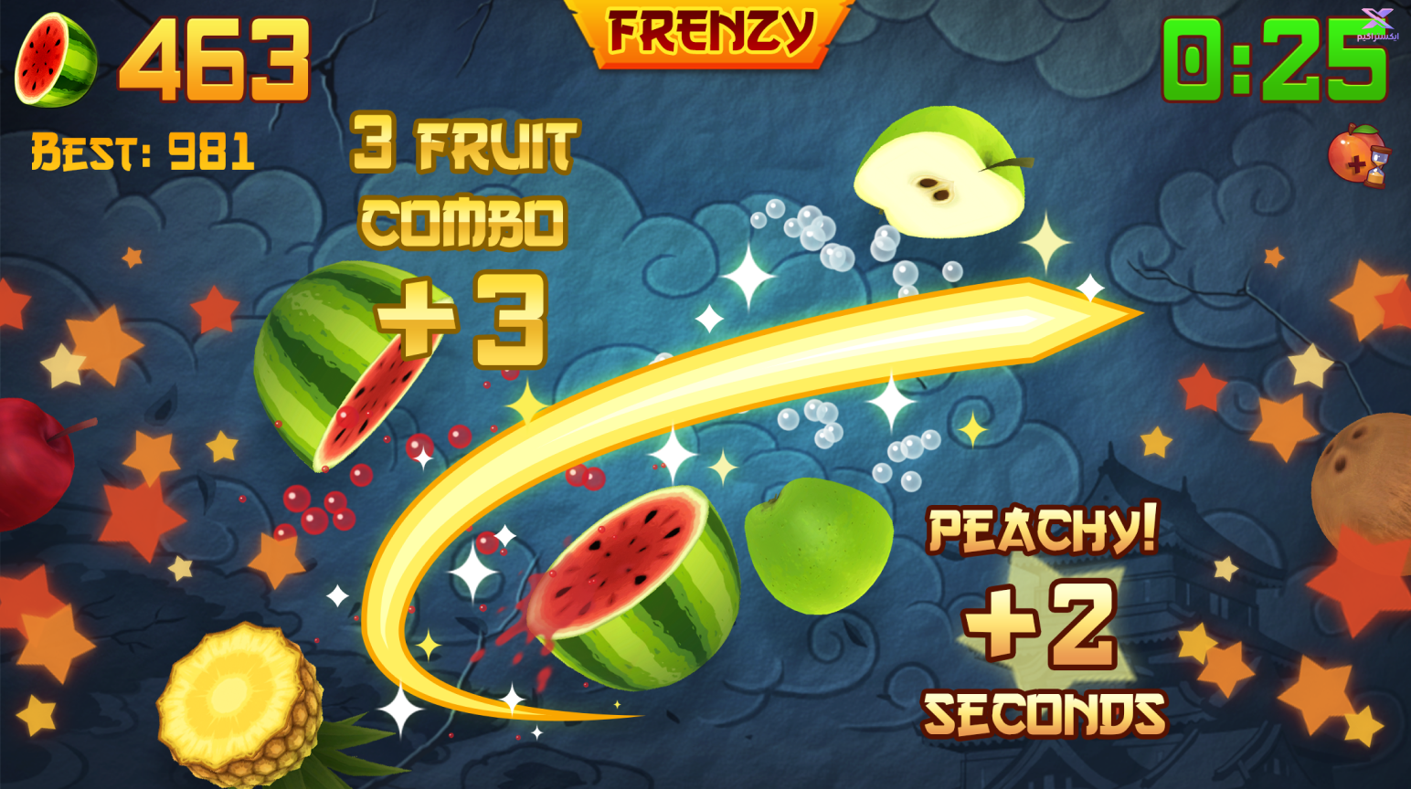 بازی Fruit Ninja Fight