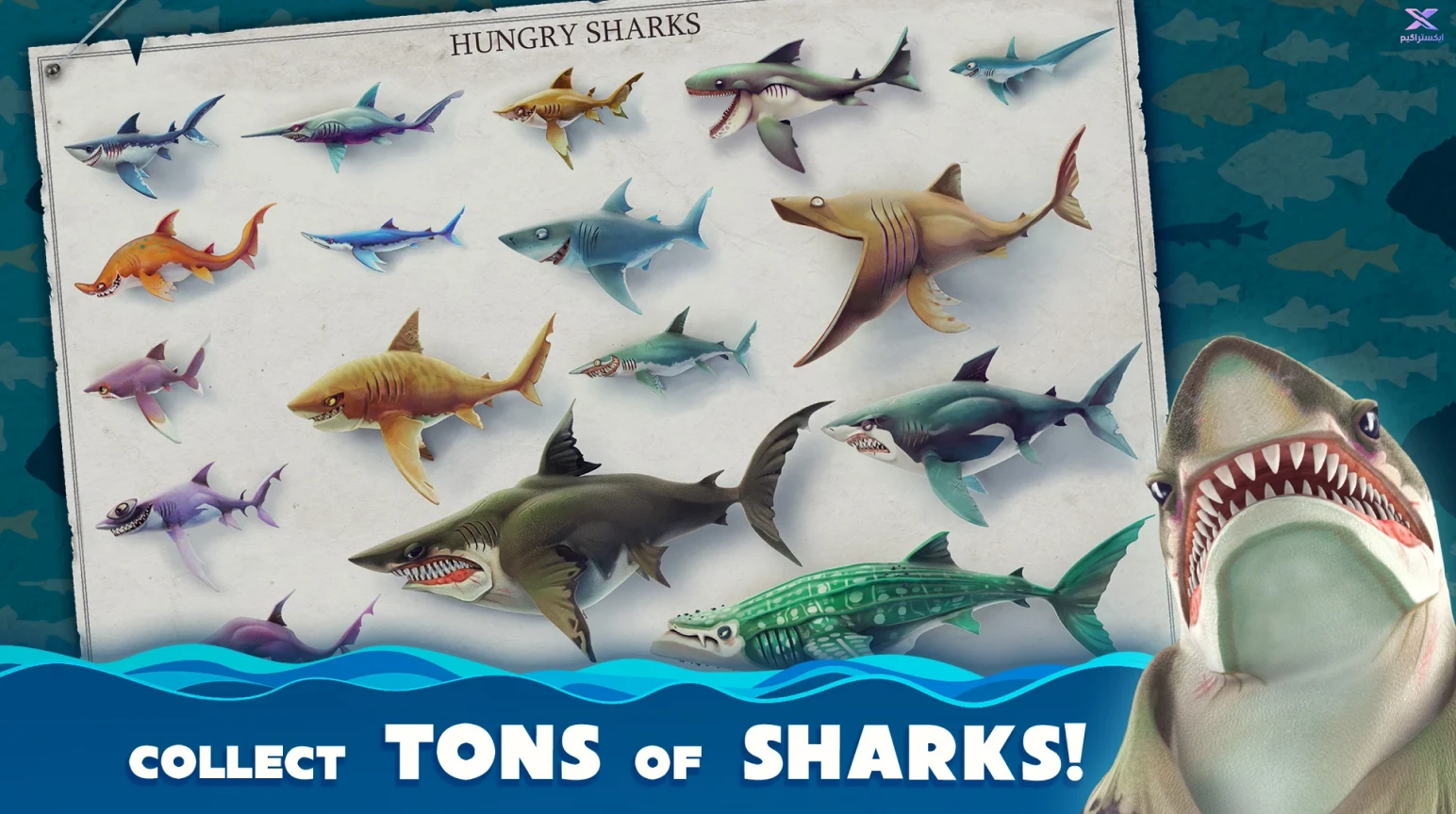 بازی Hungry Shark World